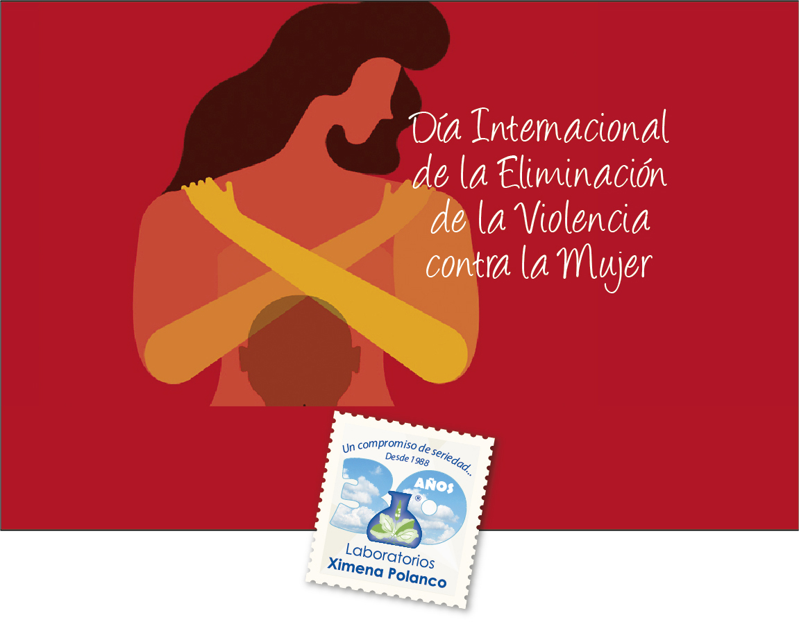 D A Internacional De La Eliminaci N De La Violencia Contra La Mujer De Noviembre
